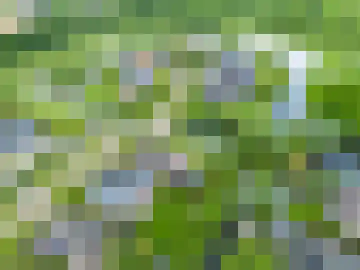 Zwaan 28 Grootegast thumbnail 60