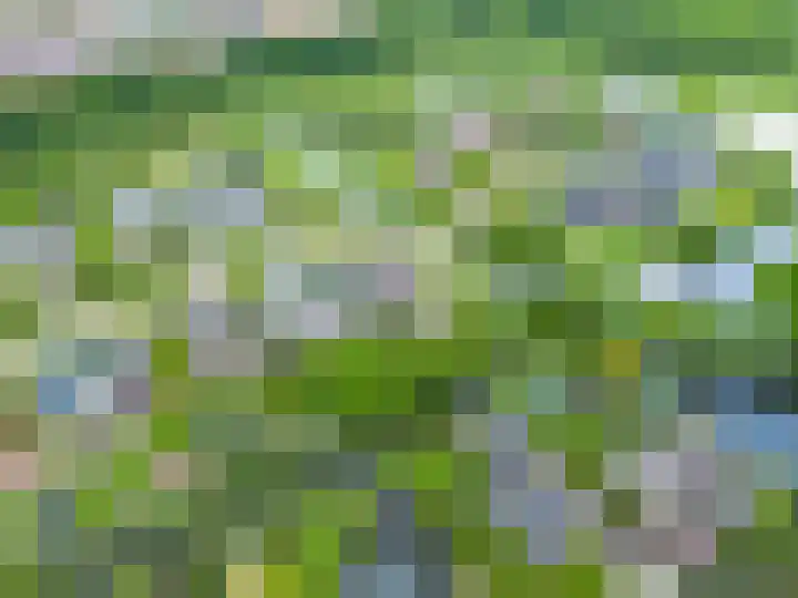 Zwaan 28 Grootegast thumbnail 61