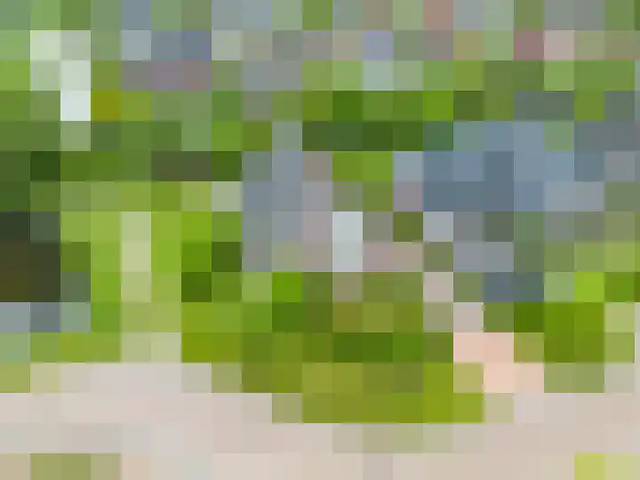 Zwaan 28 Grootegast thumbnail 62