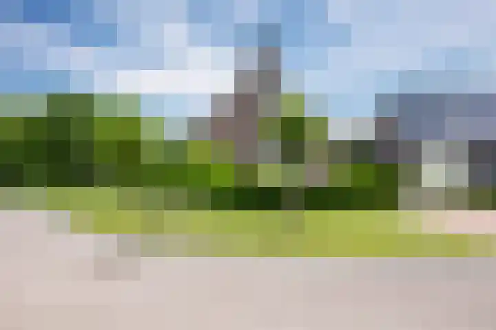 Zwaan 28 Grootegast thumbnail 63