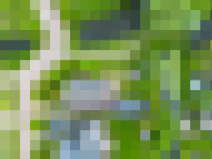 Zwaan 28 Grootegast thumbnail 65