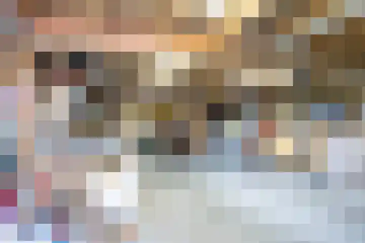 Zwaan 28 Grootegast thumbnail 7