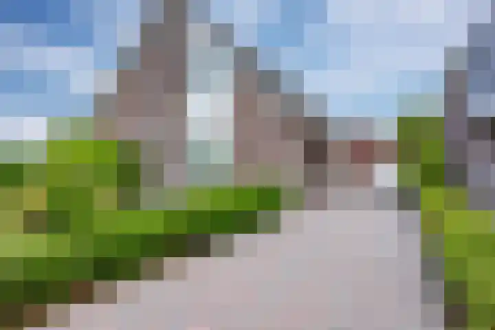 Zwaan 28 Grootegast thumbnail 76