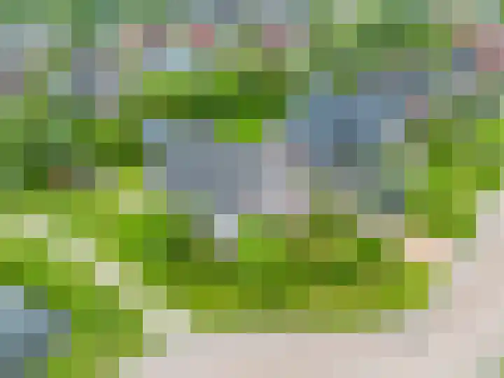 Zwaan 28 Grootegast thumbnail 9