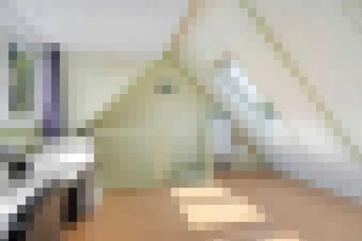 Zwaan 3 Harmelen thumbnail 20