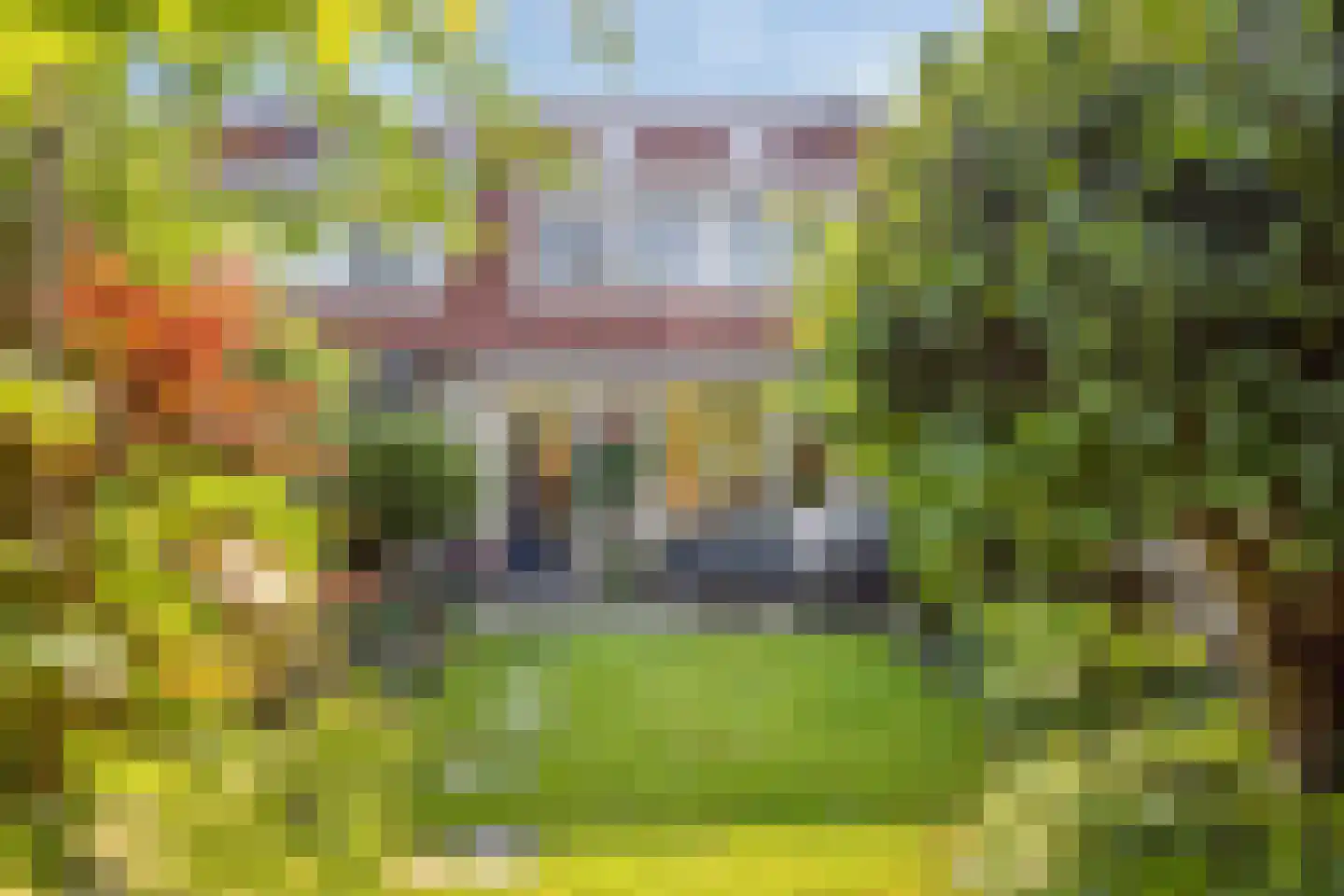 Zwaan 3 Harmelen thumbnail 22