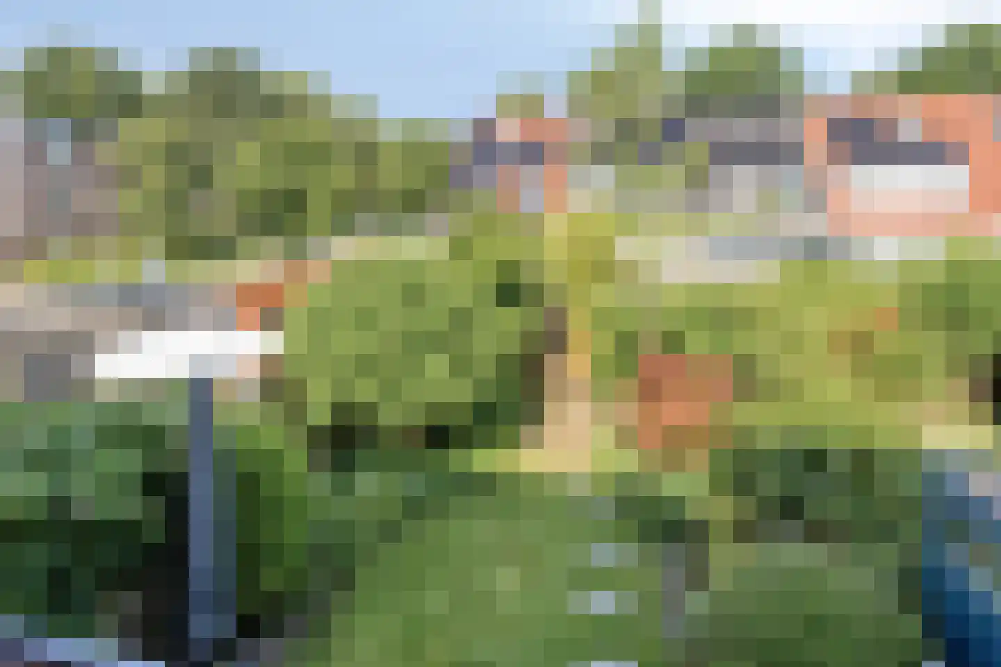 Zwaan 3 Harmelen thumbnail 23