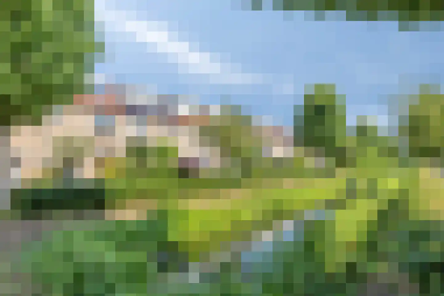 Zwaan 3 Harmelen thumbnail 24
