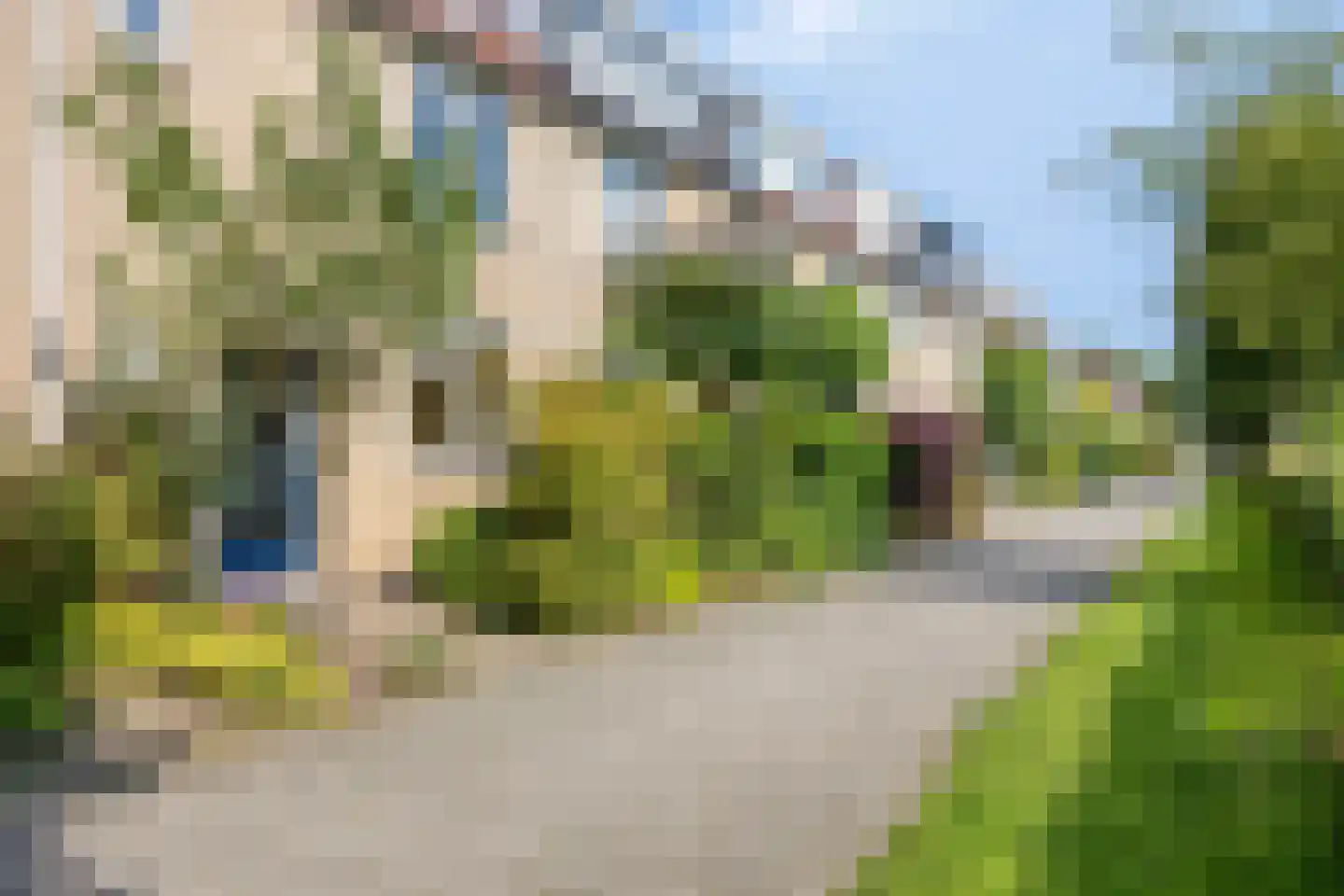 Zwaan 3 Harmelen thumbnail 25