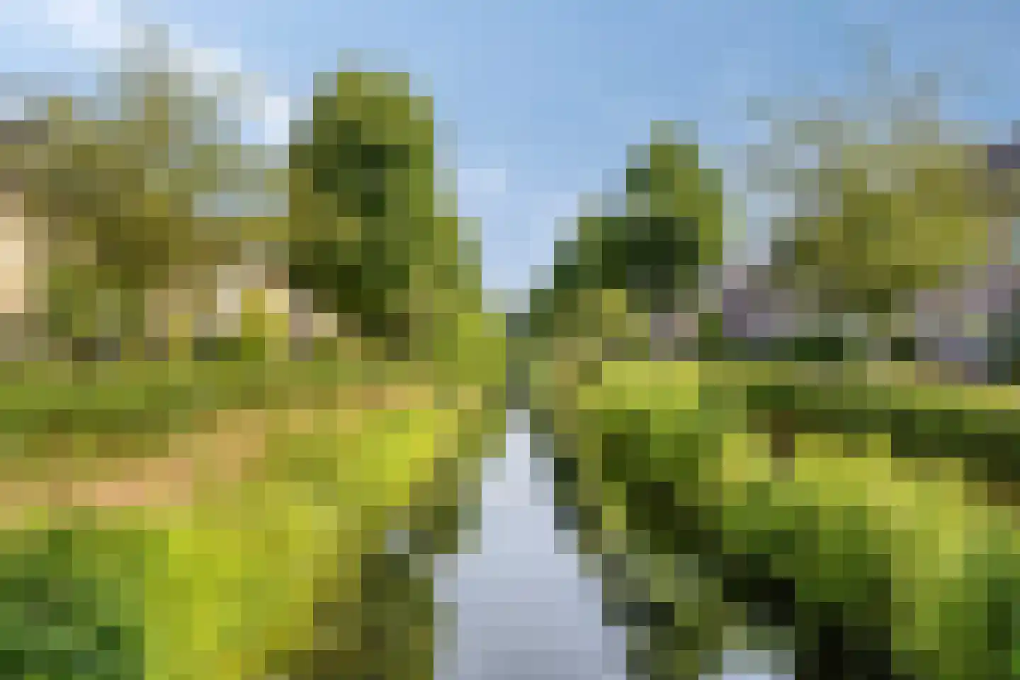 Zwaan 3 Harmelen thumbnail 27