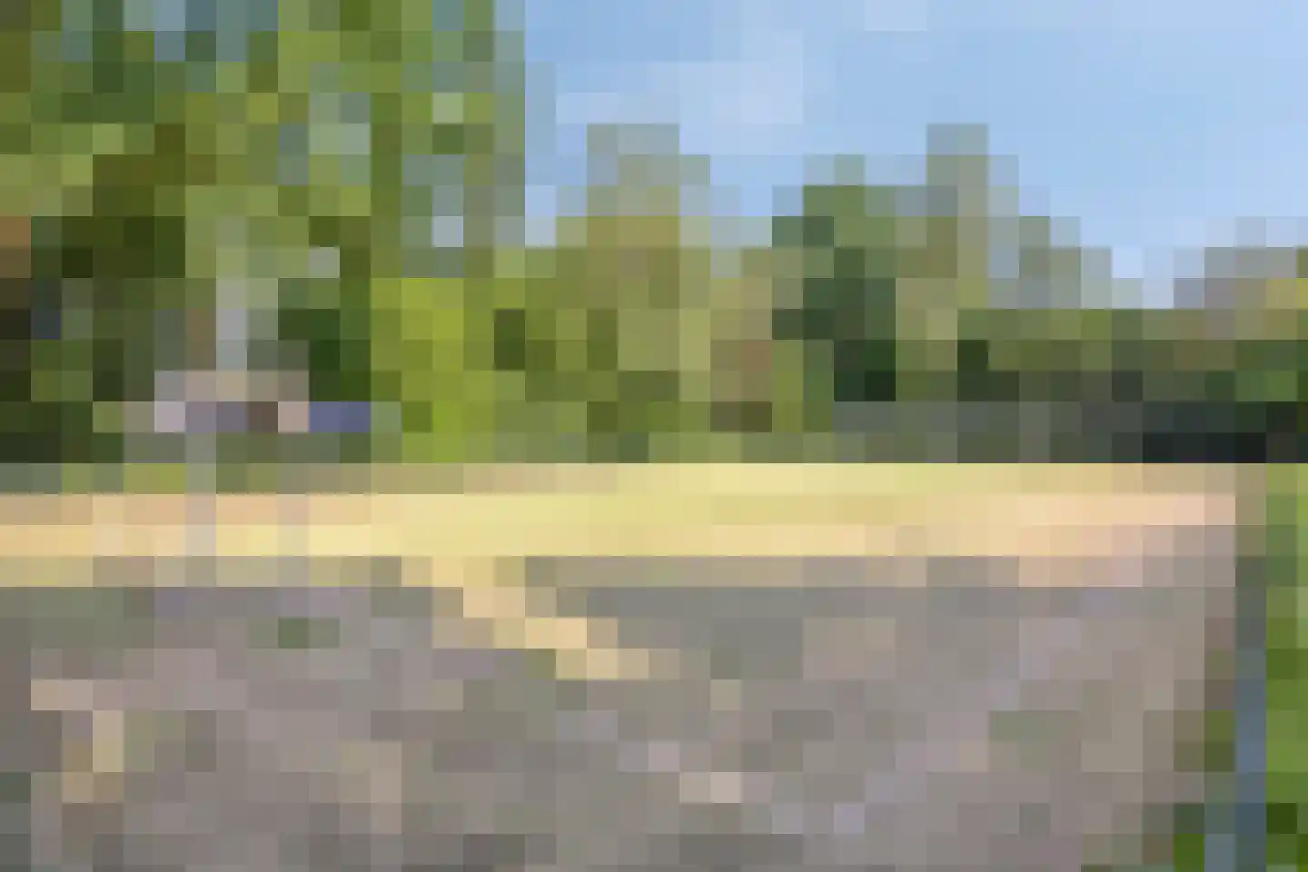 Zwaan 3 Harmelen thumbnail 31
