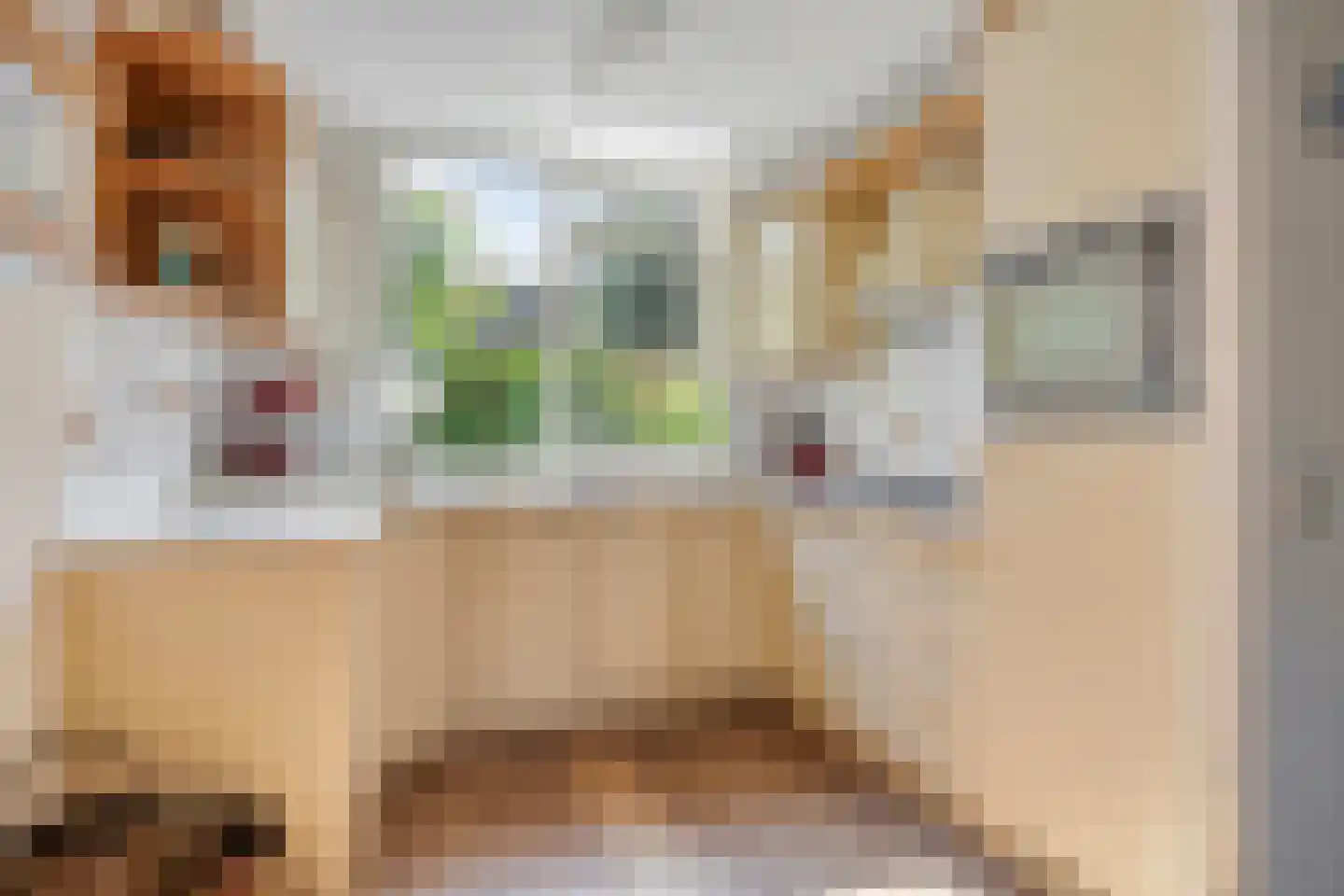 Zwaan 3 Harmelen thumbnail 4
