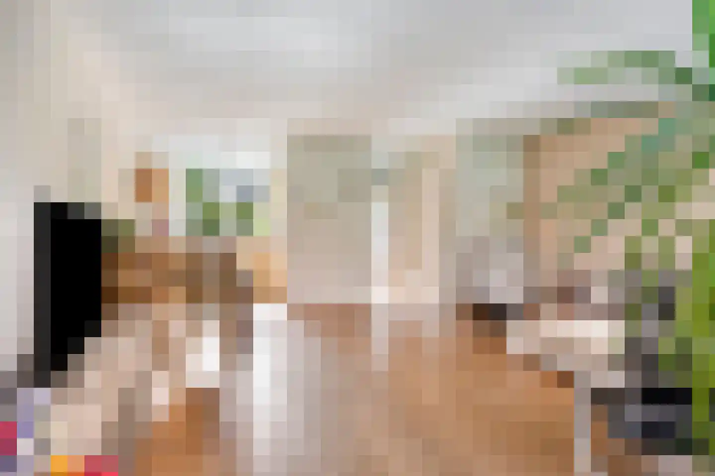 Zwaan 3 Harmelen thumbnail 7