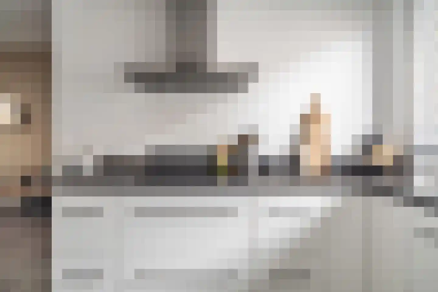 Zwaan 44 Zoeterwoude thumbnail 11