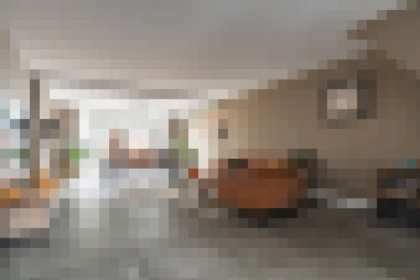 Zwaan 44 Zoeterwoude thumbnail 12