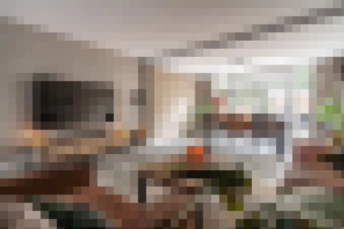 Zwaan 44 Zoeterwoude thumbnail 18