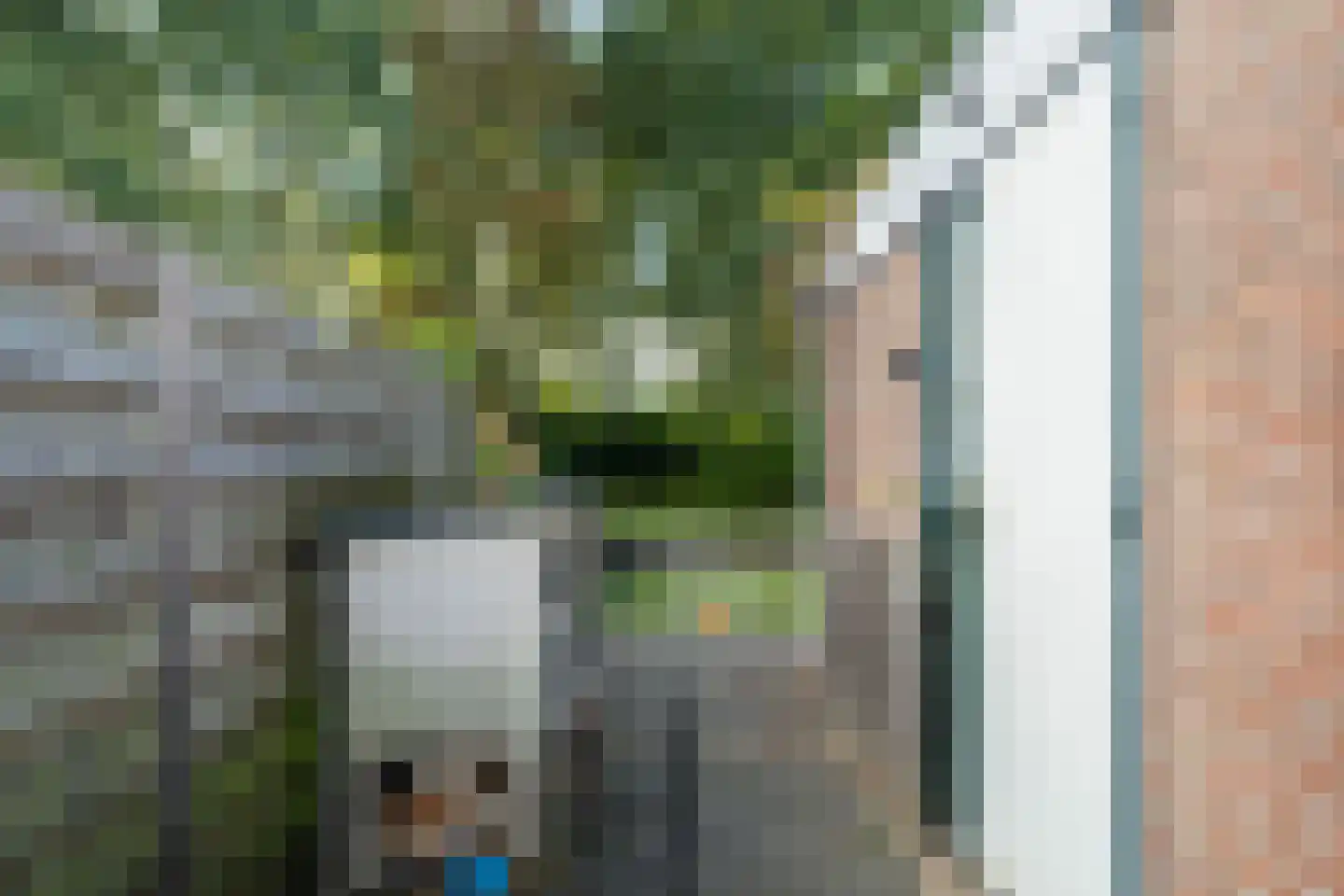 Zwaan 44 Zoeterwoude thumbnail 22