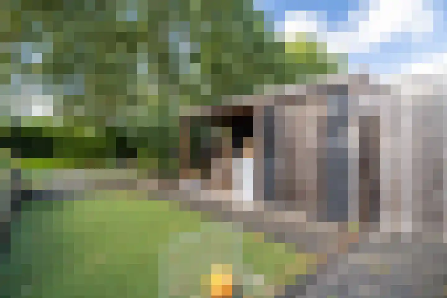 Zwaan 44 Zoeterwoude thumbnail 23