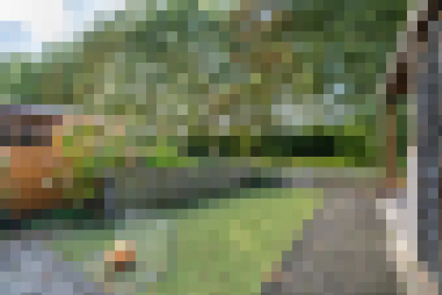 Zwaan 44 Zoeterwoude thumbnail 24