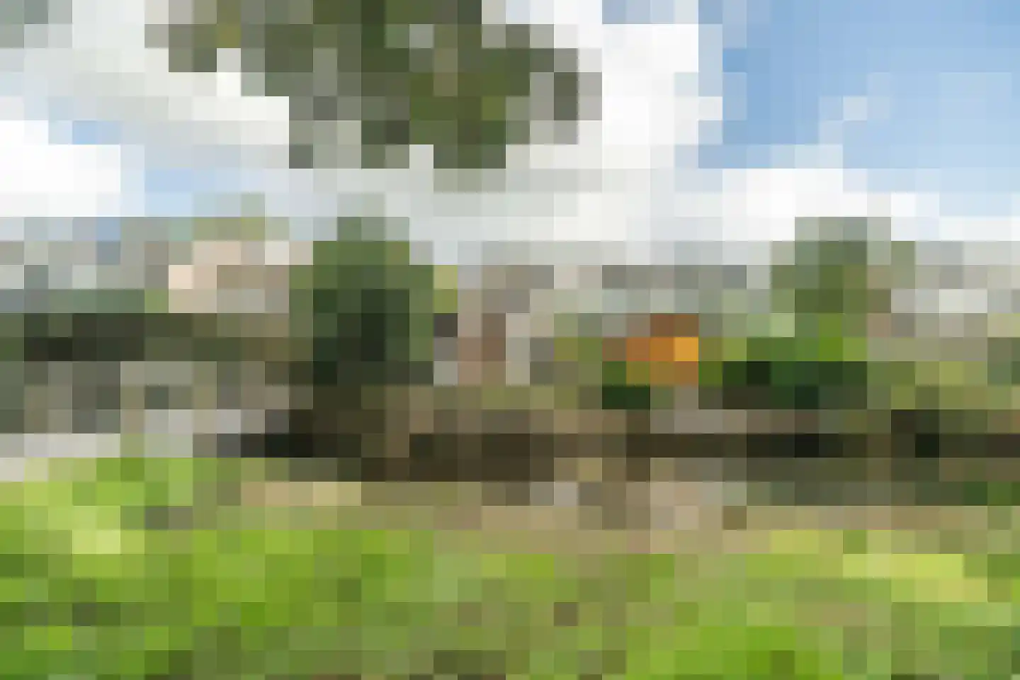 Zwaan 44 Zoeterwoude thumbnail 25