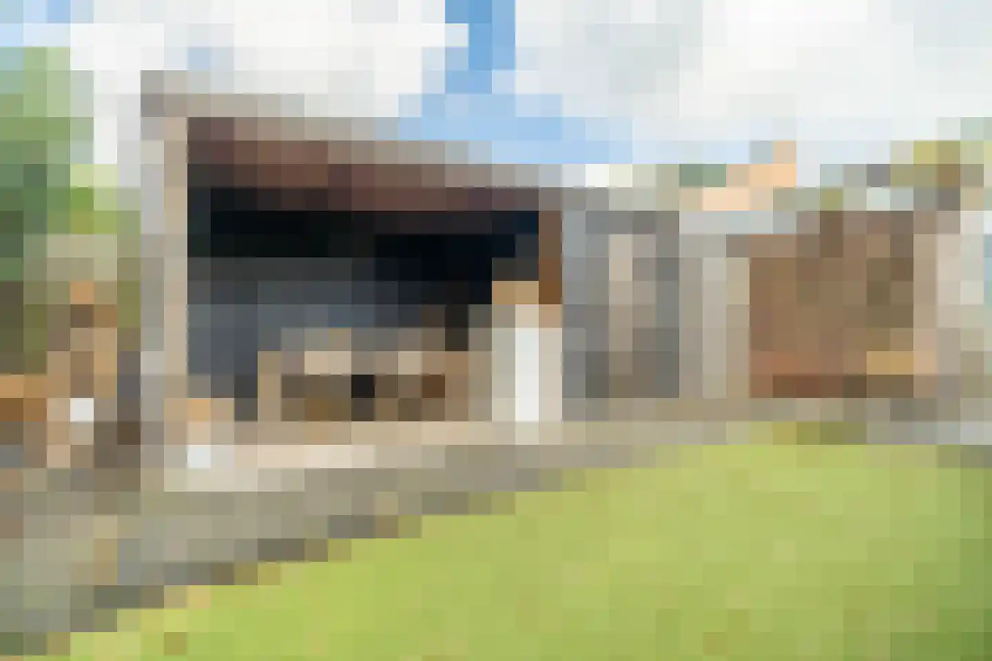 Zwaan 44 Zoeterwoude thumbnail 26