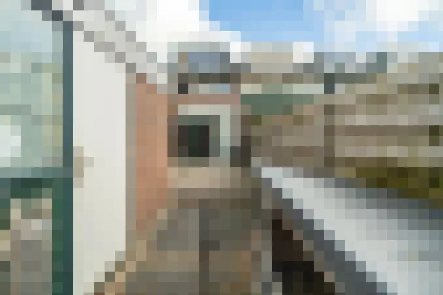 Zwaan 44 Zoeterwoude thumbnail 28