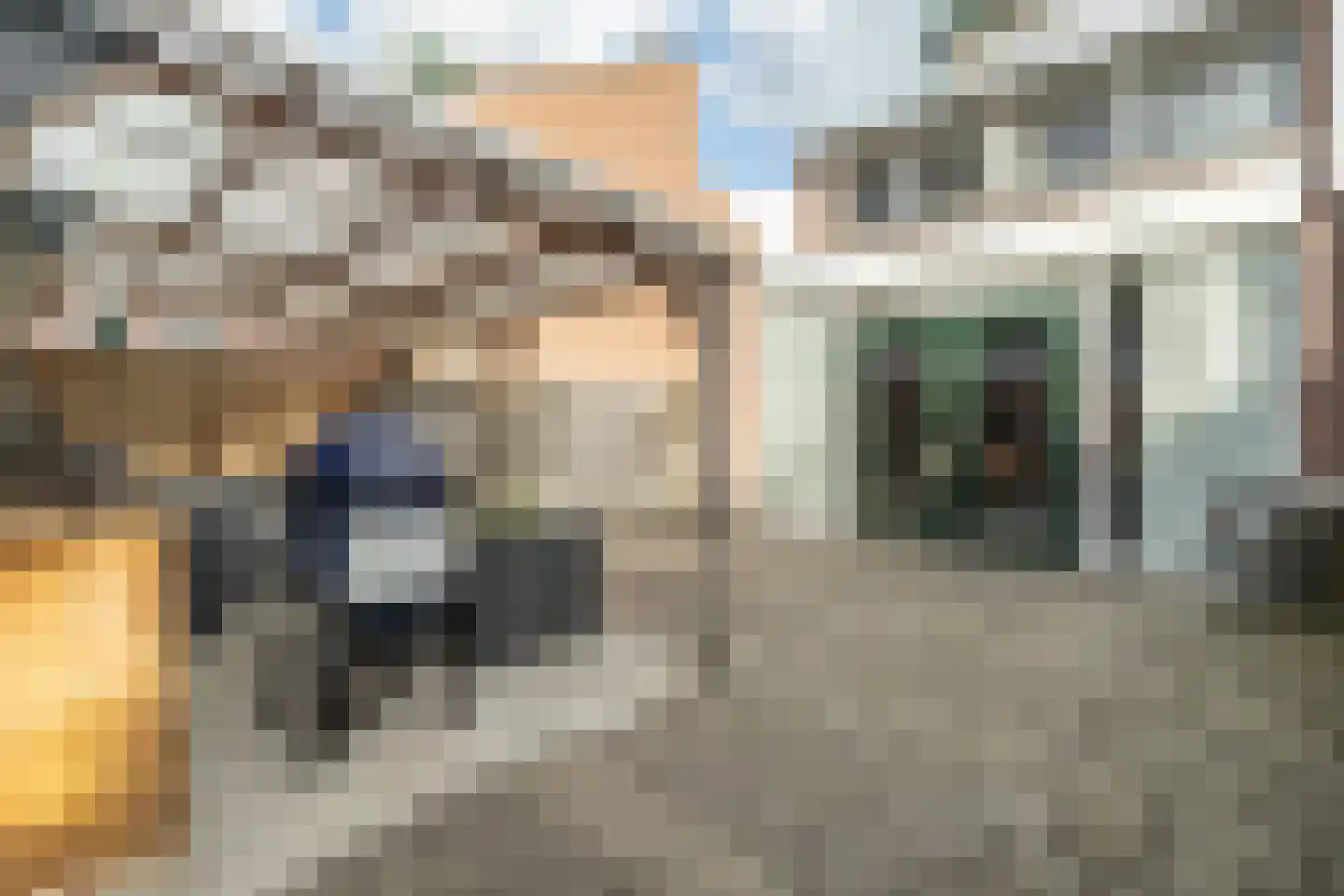 Zwaan 44 Zoeterwoude thumbnail 29