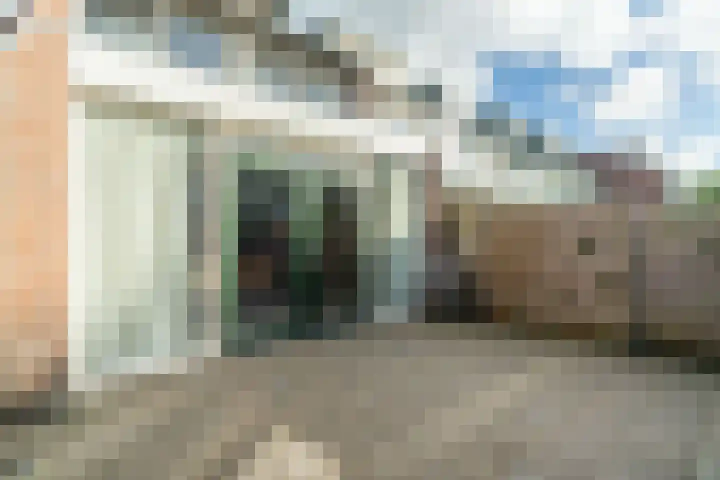Zwaan 44 Zoeterwoude thumbnail 30