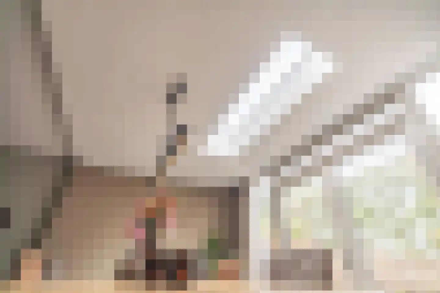 Zwaan 44 Zoeterwoude thumbnail 33
