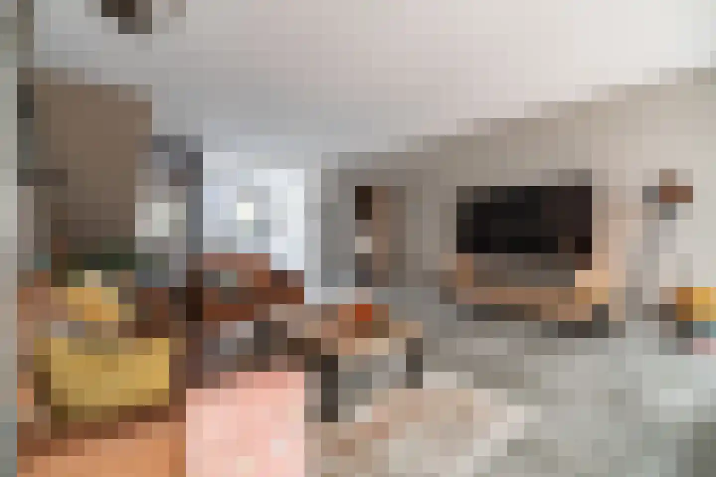 Zwaan 44 Zoeterwoude thumbnail 34