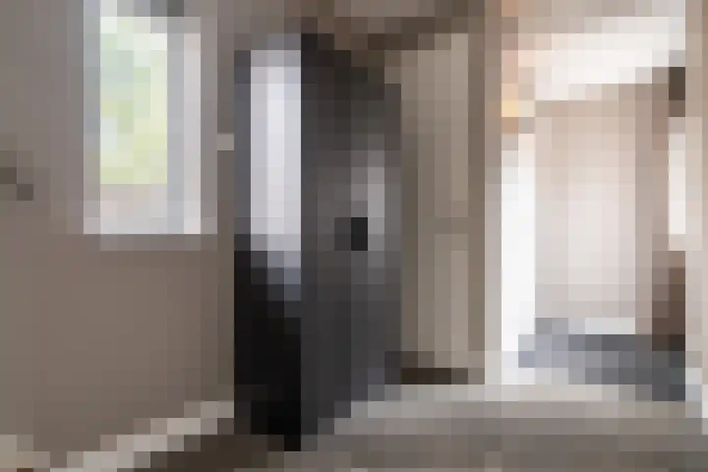 Zwaan 44 Zoeterwoude thumbnail 37