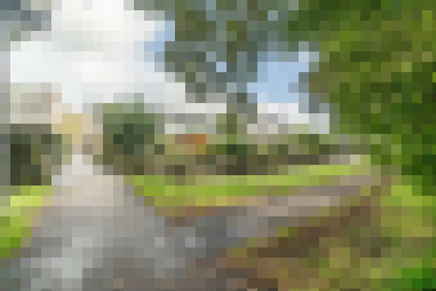 Zwaan 44 Zoeterwoude thumbnail 4