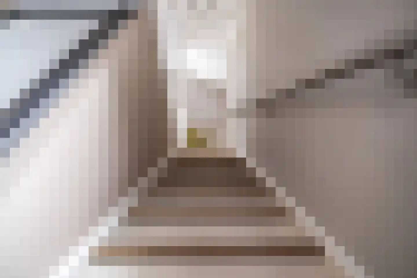 Zwaan 44 Zoeterwoude thumbnail 40