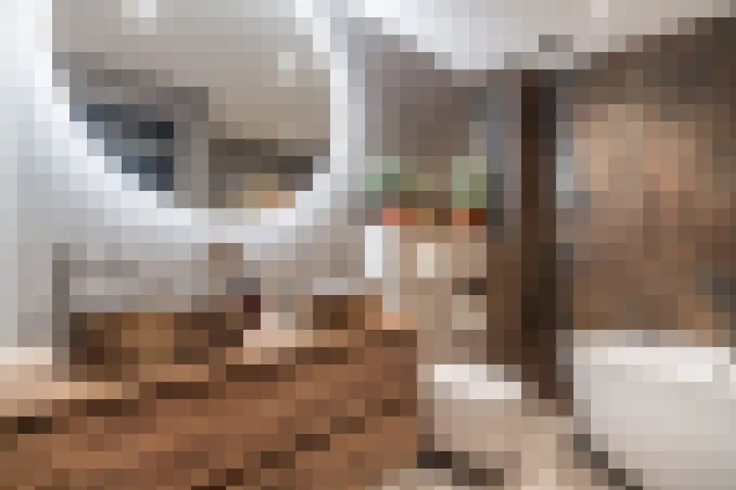 Zwaan 44 Zoeterwoude thumbnail 47
