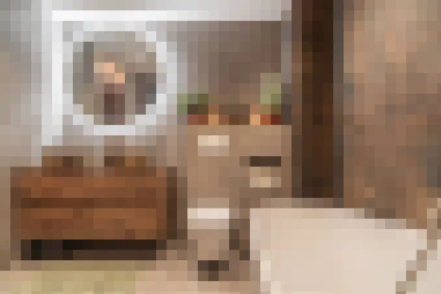 Zwaan 44 Zoeterwoude thumbnail 50