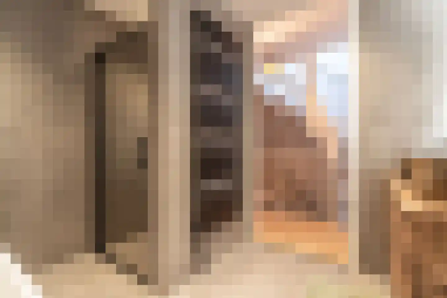 Zwaan 44 Zoeterwoude thumbnail 52