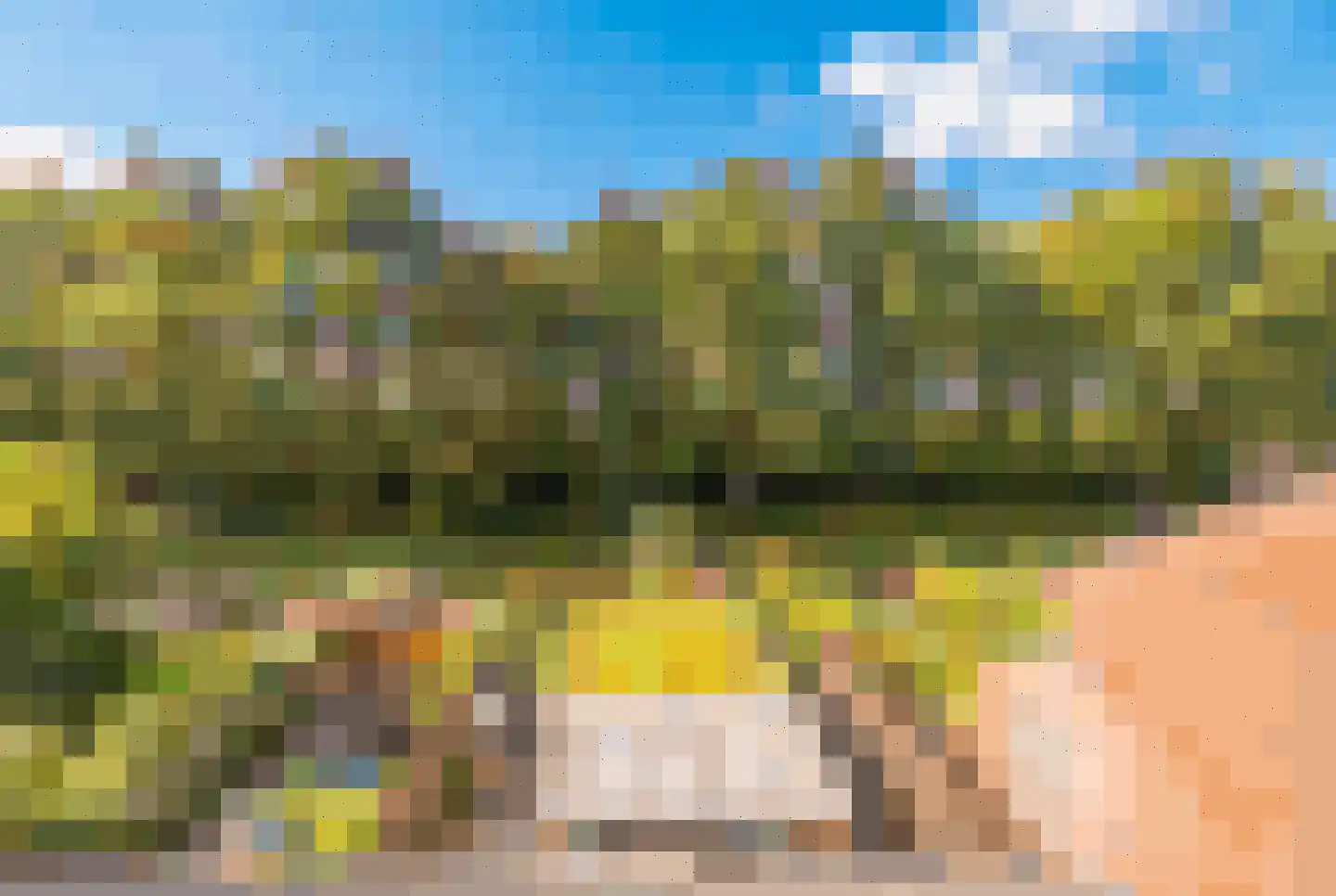 Zwaan 44 Zoeterwoude thumbnail 63