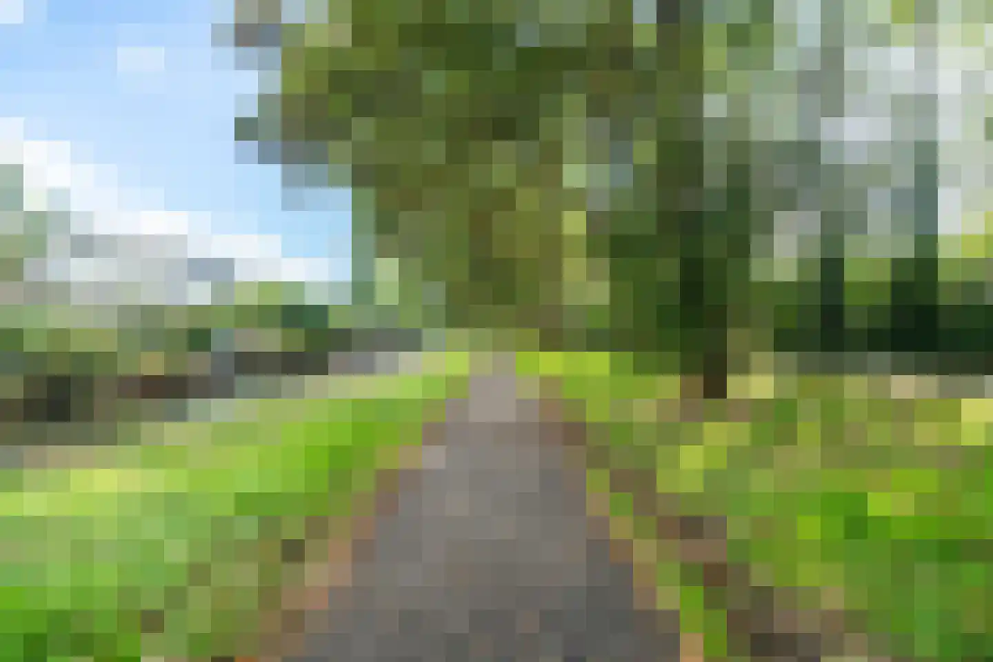 Zwaan 44 Zoeterwoude thumbnail 64