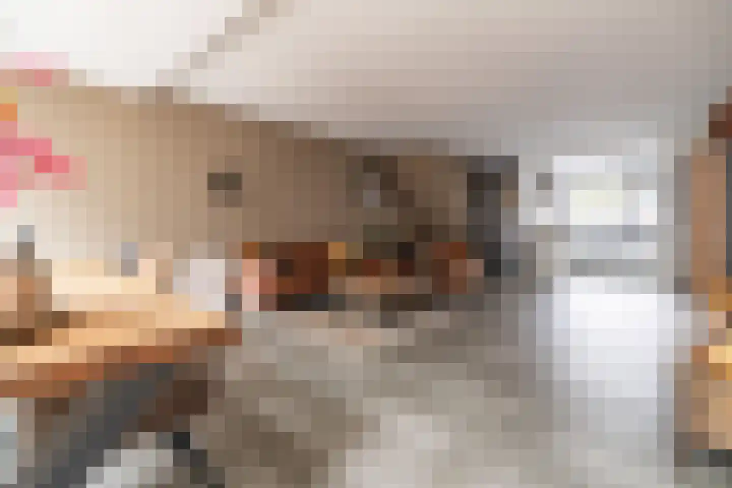 Zwaan 44 Zoeterwoude thumbnail 8
