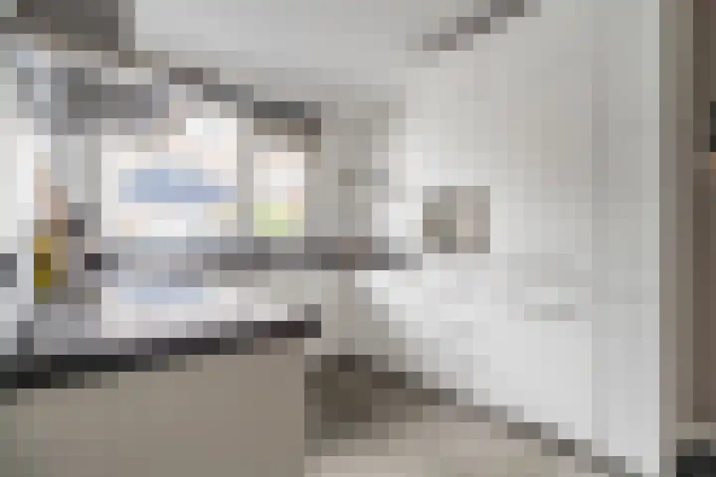 Zwaan 44 Zoeterwoude thumbnail 9