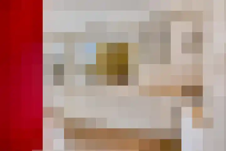 Zwaan 77 Zoeterwoude thumbnail 15