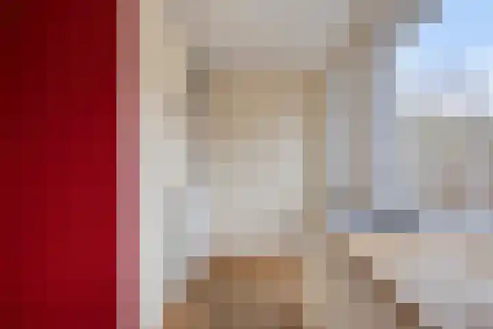 Zwaan 77 Zoeterwoude thumbnail 18