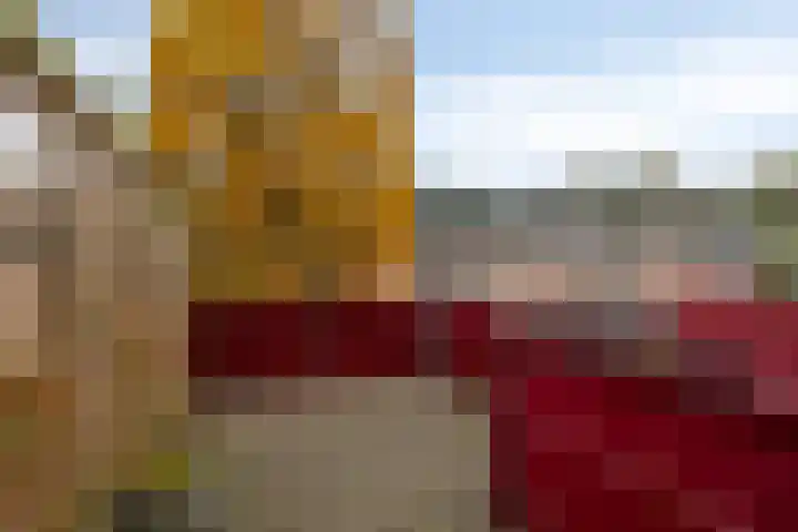 Zwaan 77 Zoeterwoude thumbnail 20