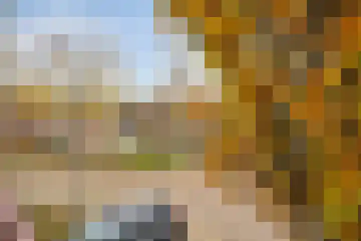 Zwaan 77 Zoeterwoude thumbnail 39
