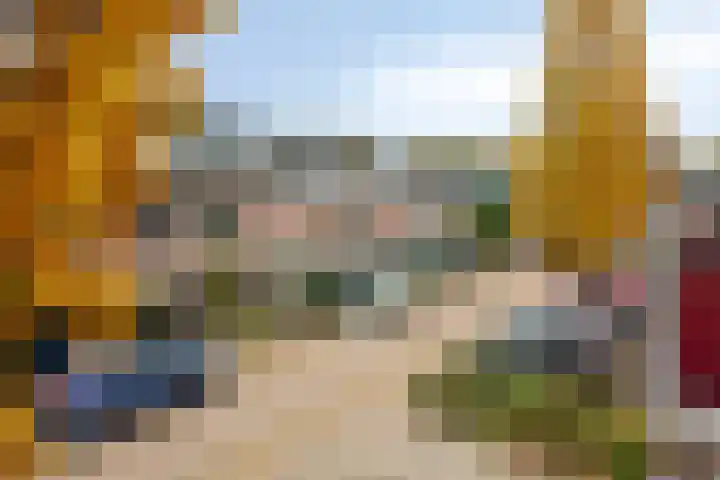 Zwaan 77 Zoeterwoude thumbnail 40