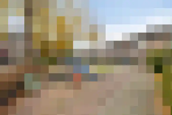 Zwaan 77 Zoeterwoude thumbnail 43