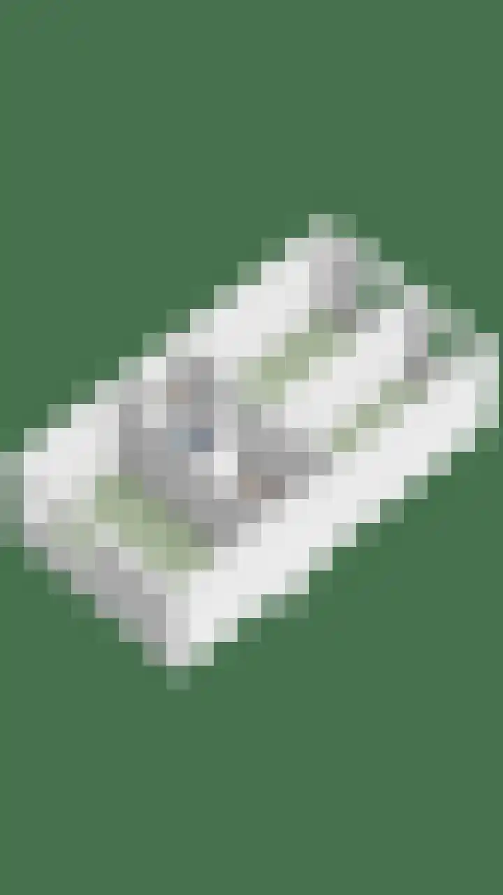 Zwaan 77 Zoeterwoude thumbnail 53
