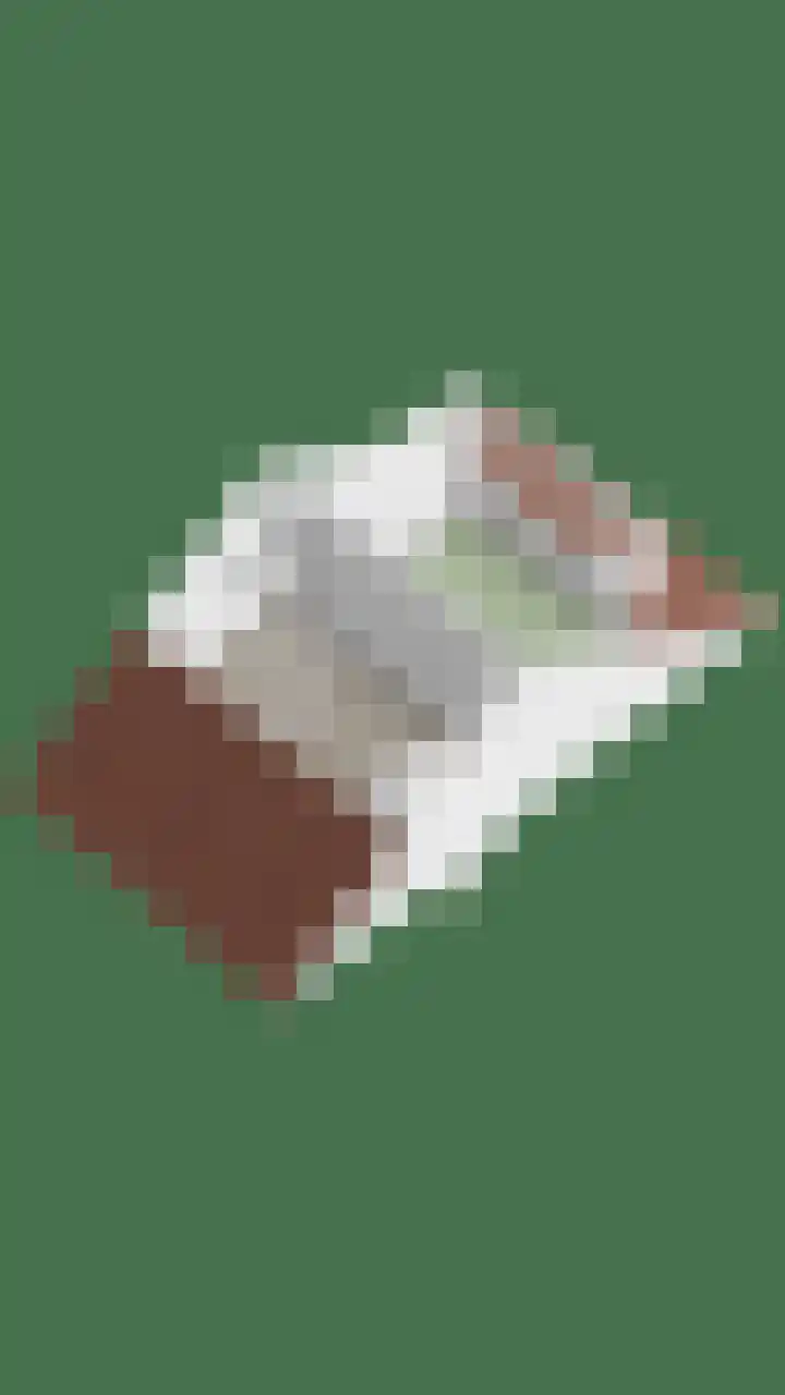 Zwaan 77 Zoeterwoude thumbnail 54