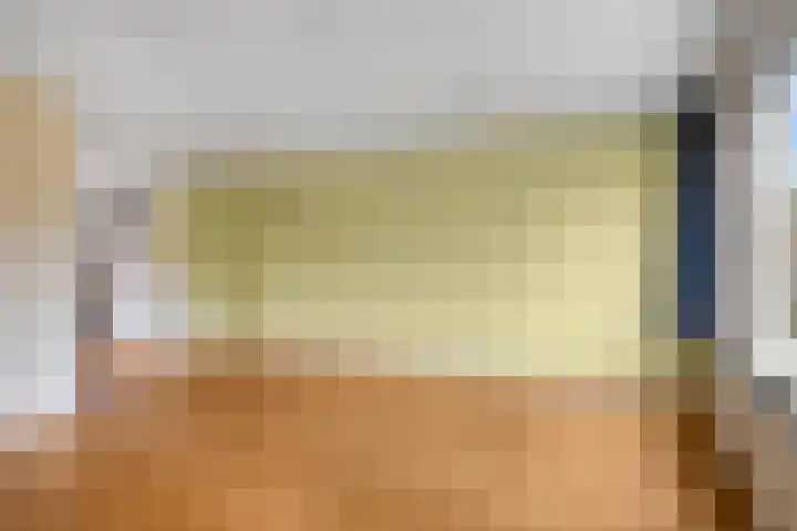 Zwaan 77 Zoeterwoude thumbnail 9