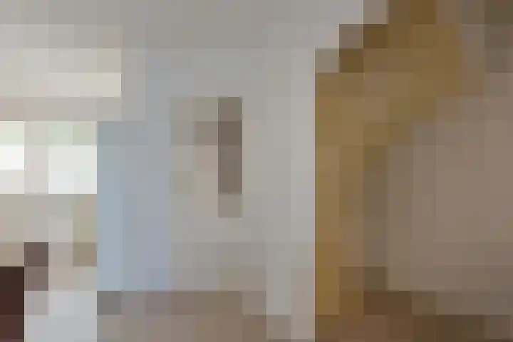 Zwaan 8 Mijdrecht thumbnail 10